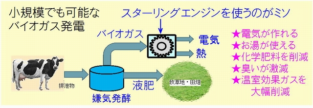 biogas-stirlin